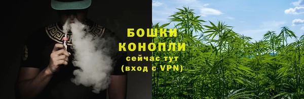 метадон Ельня
