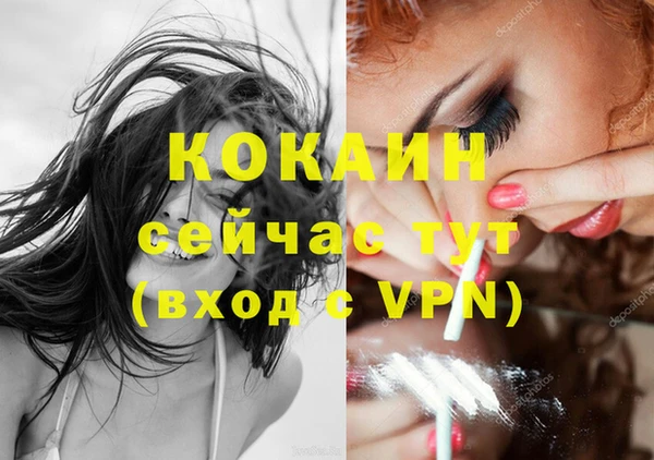 метадон Ельня