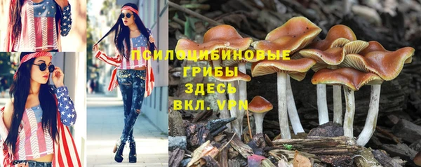 Альфа ПВП Елабуга