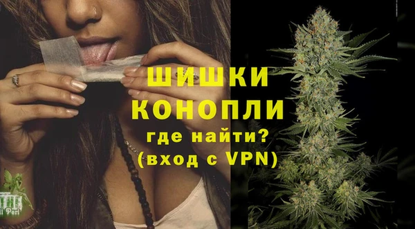 метадон Ельня