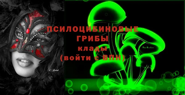 Альфа ПВП Елабуга