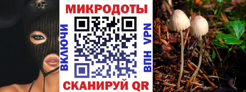 Купить где  Полярный  Псилоцибиновые грибы Magic Shrooms 