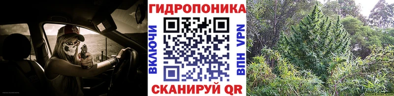 Шишки марихуана White Widow  Купить где  Полярный 